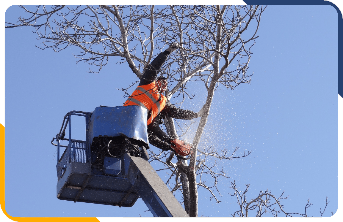Industries Served | SPLI PEO Services